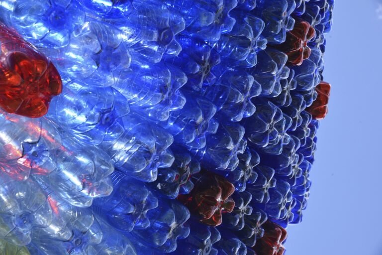 Plastic Recycling: The Challenge and the Opportunity ermaf62 bottles 2324335 1920